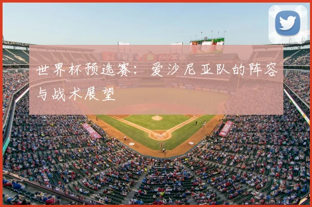 世界杯预选赛:爱沙尼亚队的阵容与战术展望